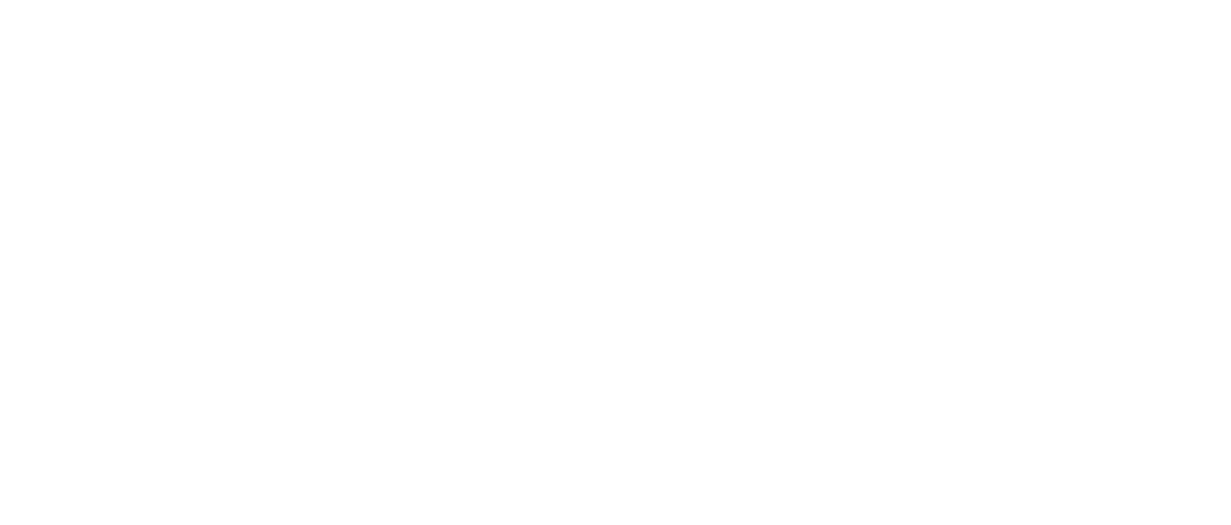 Lynx System